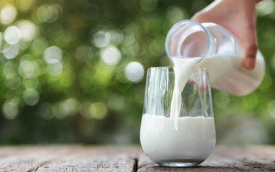 5 cách để thưởng thức các sản phẩm từ sữa dành cho người không dung nạp lactose