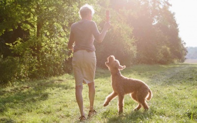 Nghiên cứu: Nuôi thú cưng có lợi cho sức khỏe của người cao tuổi