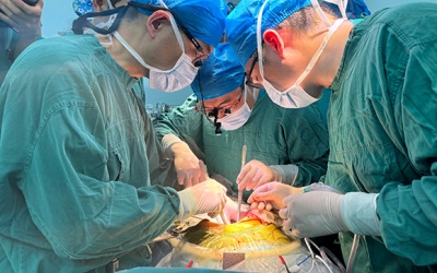 Trung Quốc: Lần đầu tiên ghép gan lợn chỉnh sửa gene thành công lên người còn sống