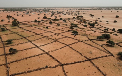 Phục hồi môi trường đất, đảm bảo an ninh lương thực