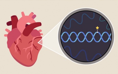 Bệnh mạch vành có di truyền trong gia đình không?