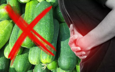 Khuẩn Salmonella gây ngộ độc thực phẩm qua… dưa chuột