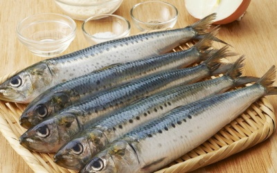 Lý do bạn nên thêm cá mòi vào chế độ dinh dưỡng