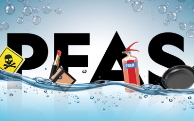 Hóa chất vĩnh cửu (PFAS) và nỗi lo tới sức khỏe, môi trường