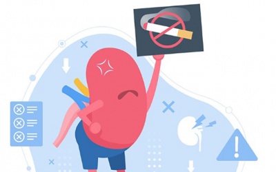 7 sai lầm trong lối sống tăng nguy cơ mắc ung thư thận