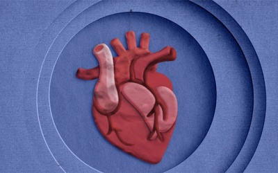 10 nguyên nhân không ngờ có thể dẫn tới suy tim