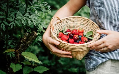 Những dưỡng chất giúp “chống nắng” cho da từ bên trong