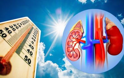Biến đổi khí hậu có liên quan thế nào đến nguy cơ suy thận?  