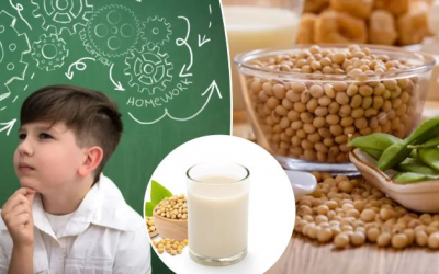 Những lợi ích bất ngờ của đậu nành đối với sự phát triển trí tuệ của trẻ em