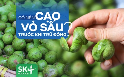 Podcast: Có nên cạo vỏ sấu trước khi trữ đông?