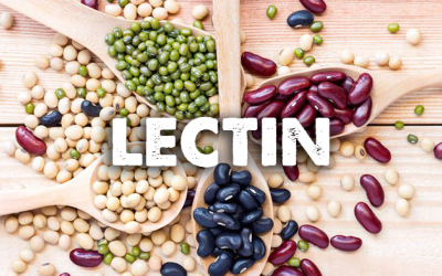 Cách loại bỏ chất lectin trong một số thực phẩm quen mặt