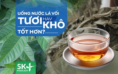 Podcast: Uống nước lá vối tươi hay khô tốt hơn?