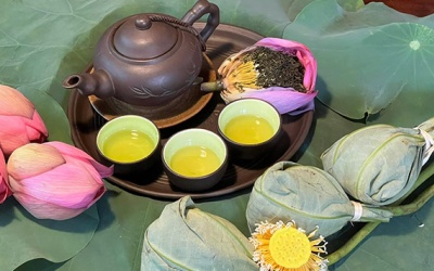 Thơm thoảng sen trà 