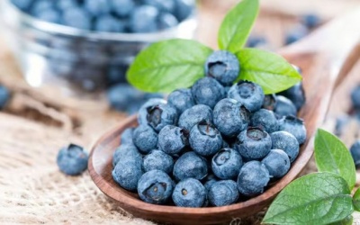 7 thực phẩm lành mạnh giúp tăng cường trí nhớ và sự tập trung