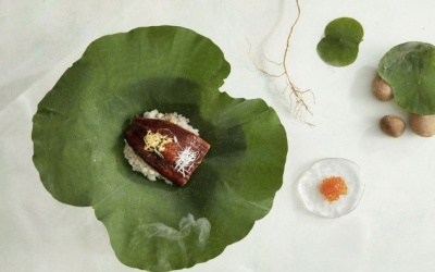 Sự kết hợp thú vị của cơm lươn sen