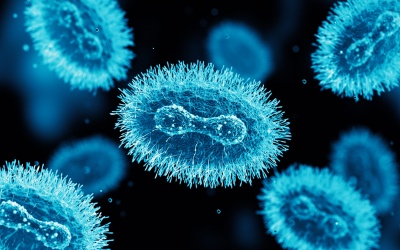 WHO cân nhắc ban bố tình trạng khẩn cấp vì đậu mùa khỉ