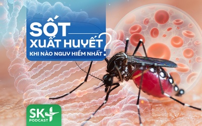 Podcast: Sốt xuất huyết khi nào nguy hiểm nhất?