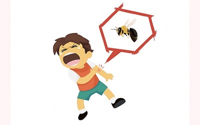 Cách nhận biết, phân biệt ong vò vẽ và ong mật tránh gặp họa