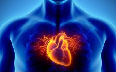 Cầu cơ tim là bệnh gì, có nguy hiểm không?