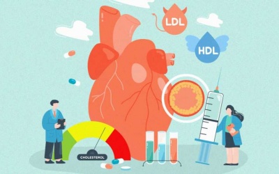 6 thói quen hàng ngày giúp giảm mức cholesterol tự nhiên