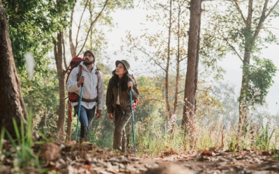Đi bộ đường dài (Hiking): Hành trình khám phá bản thân và thiên nhiên