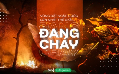 Vùng đất ngập nước lớn nhất thế giới… đang cháy 