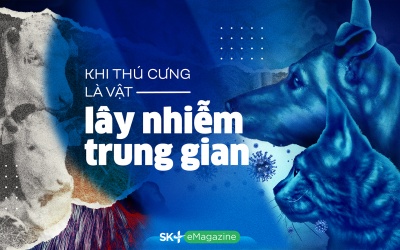 Khi thú cưng là vật lây nhiễm trung gian