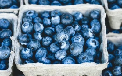 4 thực phẩm người viêm khớp nên bổ sung vào chế độ ăn uống