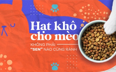 Hạt khô cho mèo: không phải “sen” nào cũng rành
