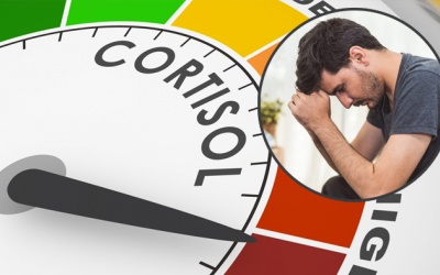 Làm sao giảm nồng độ cortisol, giúp giải tỏa căng thẳng hiệu quả?