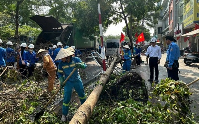 Hà Nội tập trung dọn cây đổ, vệ sinh môi trường sau bão số 3