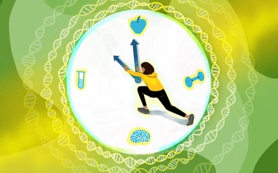 5 yếu tố đẩy nhanh tốc độ lão hóa