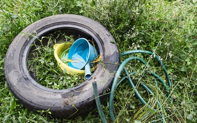 Cảnh báo nguy cơ sốt xuất huyết bùng phát sau mưa lũ