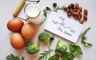 Thực phẩm giàu choline nên có trong chế độ ăn