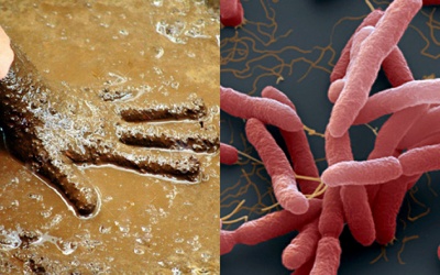 Cảnh báo nguy cơ mắc bệnh Whitmore sau các đợt mưa lũ