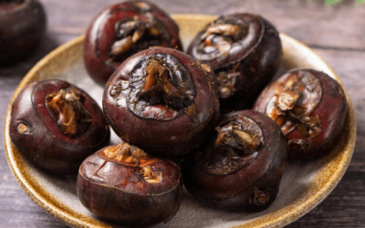 Lợi ích sức khoẻ của củ mã thầy