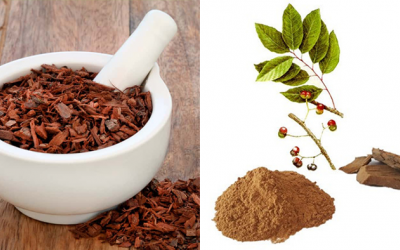 Lợi ích của chiết xuất anh đào châu Phi với sức khỏe phái mạnh