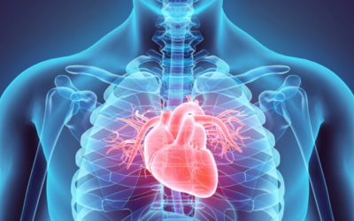 4 yếu tố làm tăng nguy cơ mắc bệnh tim mạch