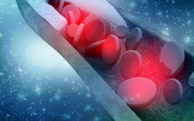 Lưu thông máu kém: Dấu hiệu nhận biết và cách phòng ngừa thế nào?