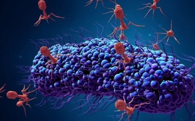 Khi virus trở thành “đồng minh” của con người