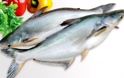 Những lợi ích sức khoẻ của cá da trơn