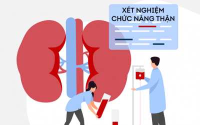 Những xét nghiệm nào phản ánh chức năng thận?