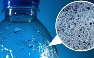 Hạt vi nhựa có thể làm tăng nguy cơ đau tim, đột quỵ