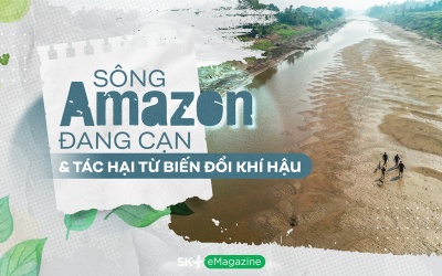 Sông Amazon đang cạn & tác hại từ biến đổi khí hậu