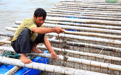 Thủ tướng: Khẩn trương triển khai chính sách hỗ trợ người dân thiệt hại sau bão lũ