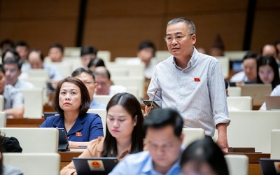 ĐBQH: Thuốc bán online phải là thuốc được cấp phép lưu hành