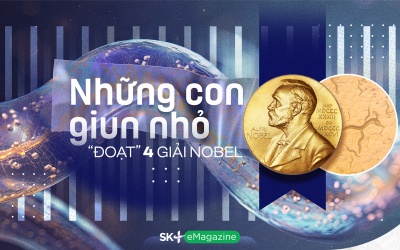 Những con giun nhỏ 'đoạt' 4 giải Nobel