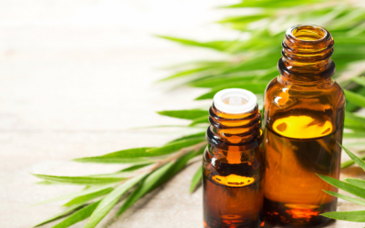 Dùng tinh dầu tràm trà trị mụn, cần lưu ý điều gì?