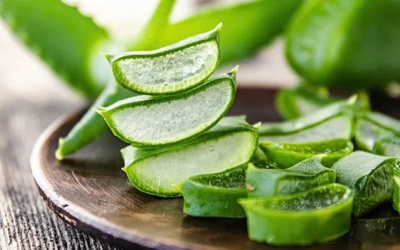 Nha đam có tác dụng giảm đau bụng kinh hiệu quả