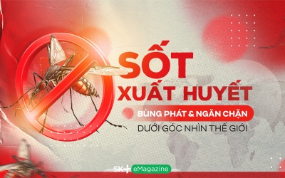 Sốt xuất huyết: Bùng phát & ngăn chặn dưới góc nhìn thế giới